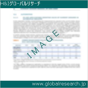 グローバルリサーチ調査レポートのイメージ